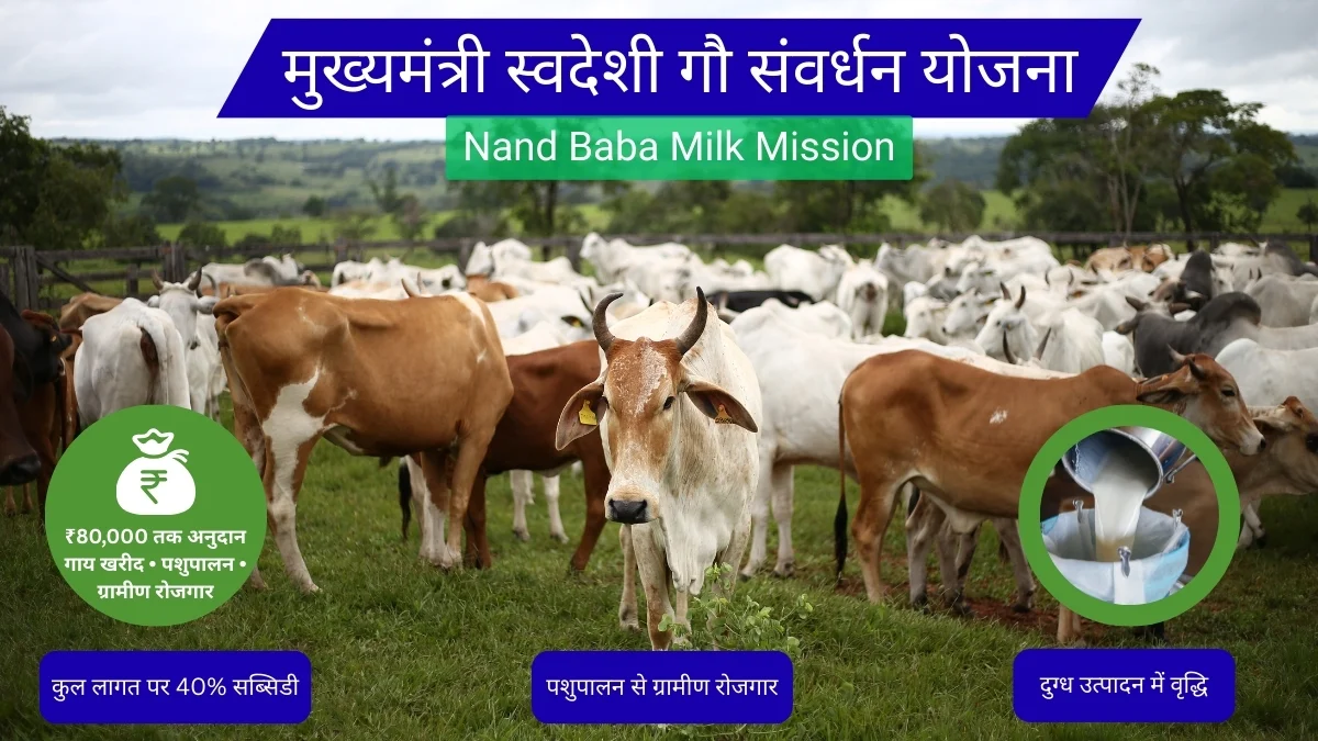 मुख्यमंत्री स्वदेशी गौ संवर्धन योजना 8 मुख्यमंत्री स्वदेशी गौ संवर्धन योजना